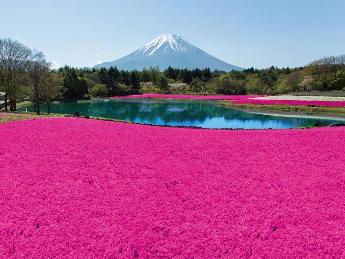 Отель Nishimiyasou Фудзикавагутико Экстерьер фото